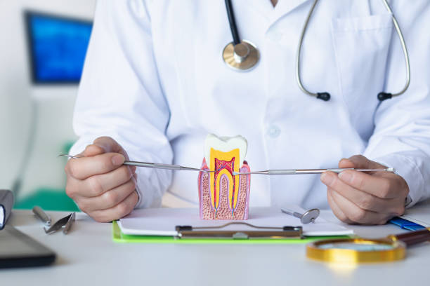 Best Emergency Care for Gum Disease in Ben Bolt, TX